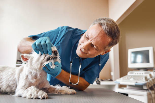 Best Emergency Tooth Extraction in Silver Springs Shores, FL